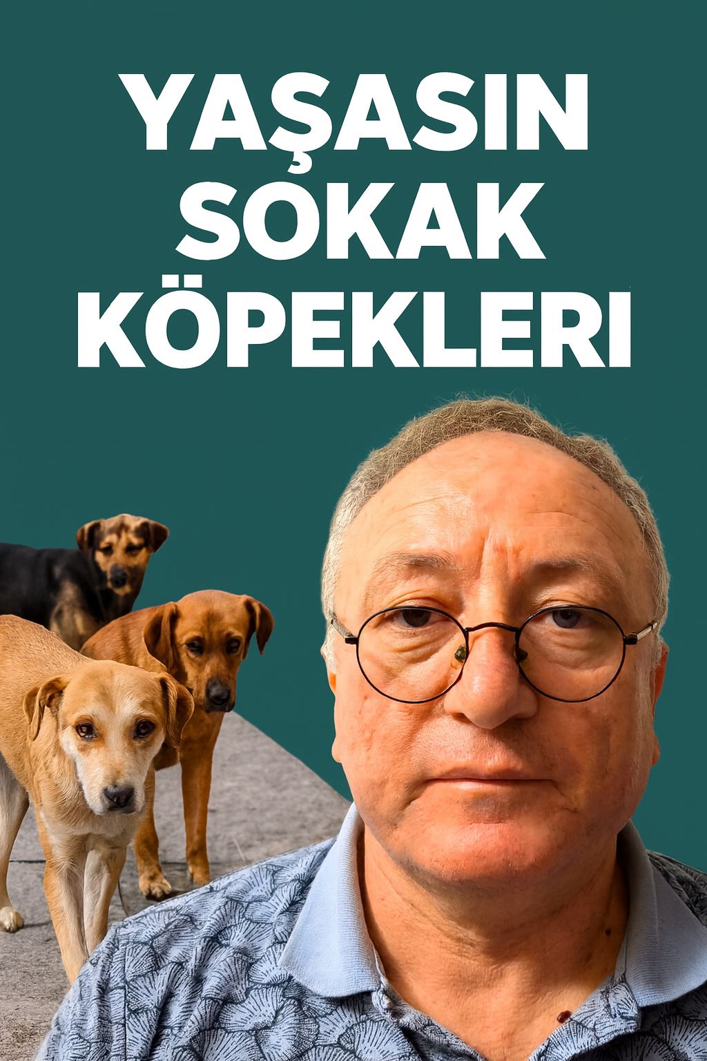 YAŞASIN SOKAK KÖPEKLERİ
