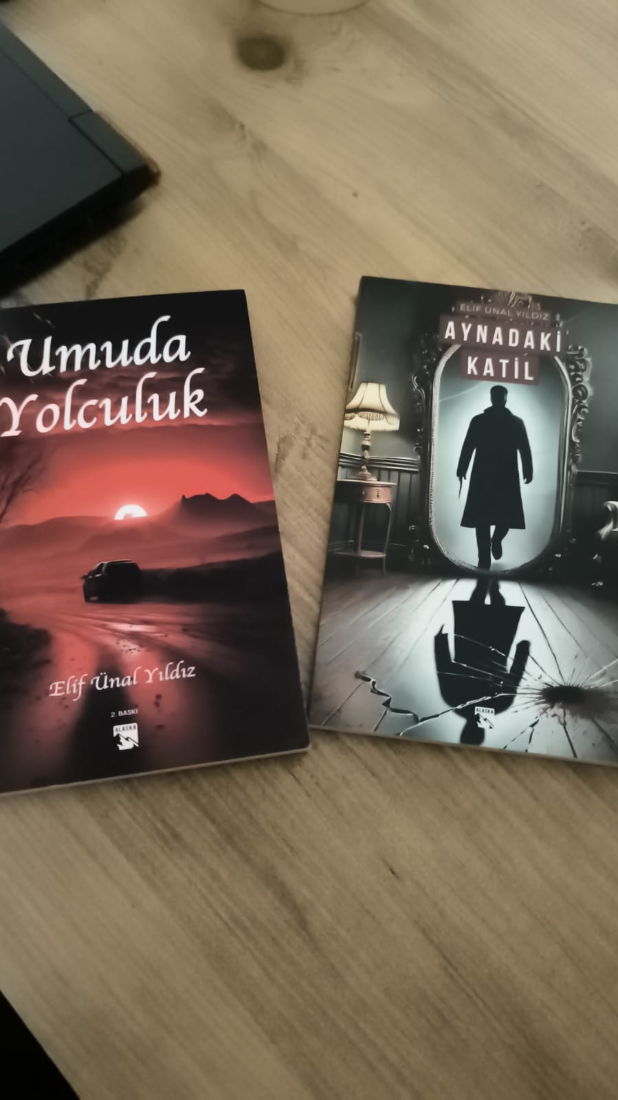 Gerçeği Arayan Kalem: Elif Ünal Yıldız