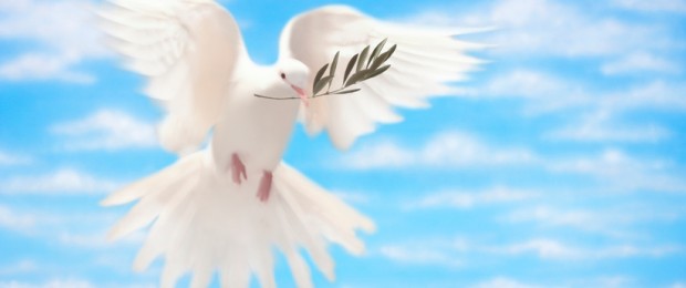Bir Ülkenin Nabzı: Değişen Gündem, Değişen Yönelimler