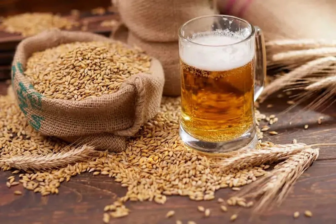 Malt içeceği nedir? Faydalı mı, zararlı mı?