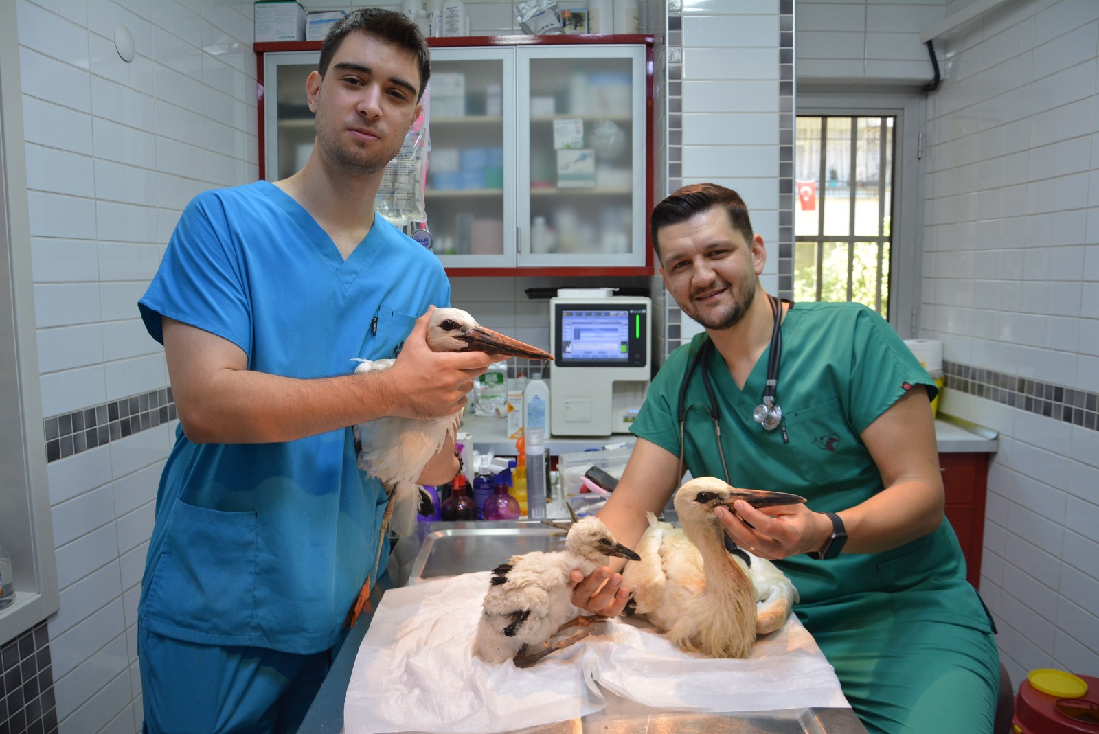 Leylekler İçin Umut Var: Yaralı Göçmenler Nazilli’de Şifa Buluyor Leylekler İçin Umut Var: Yaralı Göçmenler Nazilli’de Şifa Buluyor