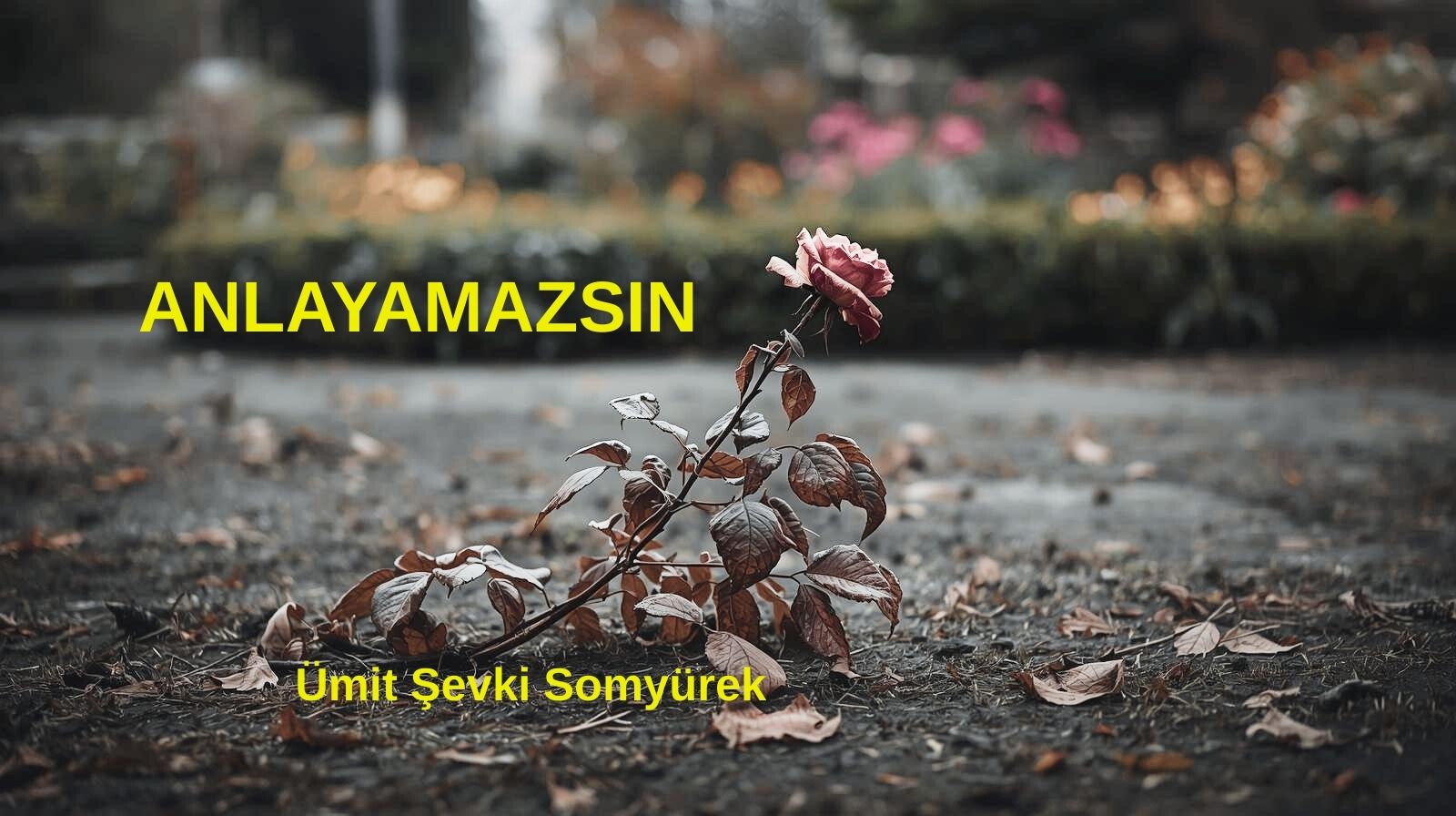 ANLAYAMAZSIN
