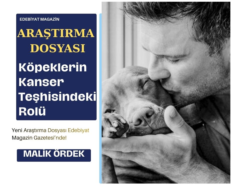 Köpeklerin Kanser Teşhisindeki Rolü